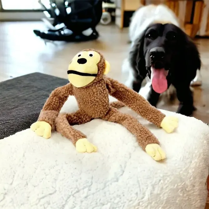 Pelúcia Macaco Sonoro Jambo para Cães e Gatos